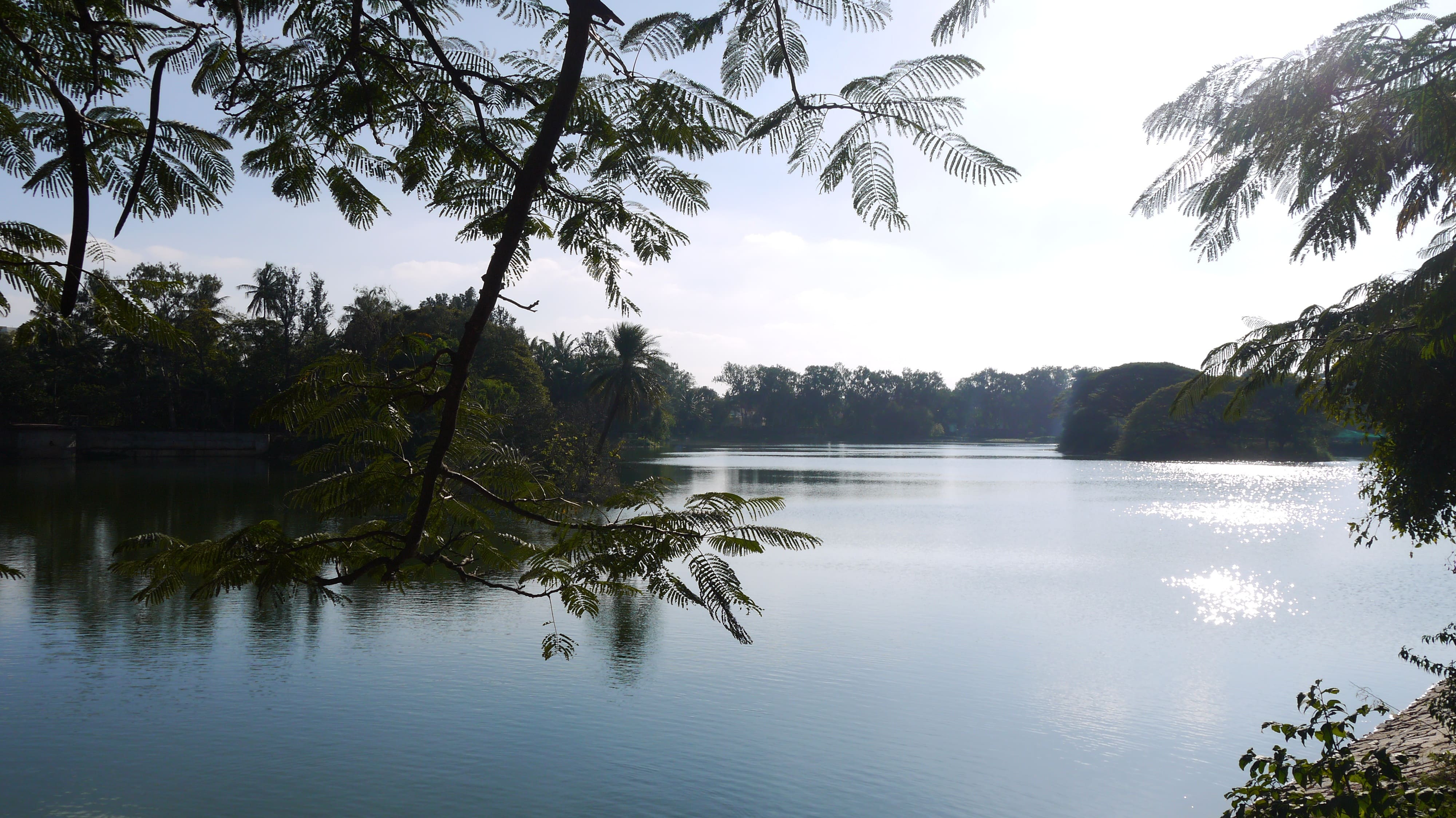 Bangalore