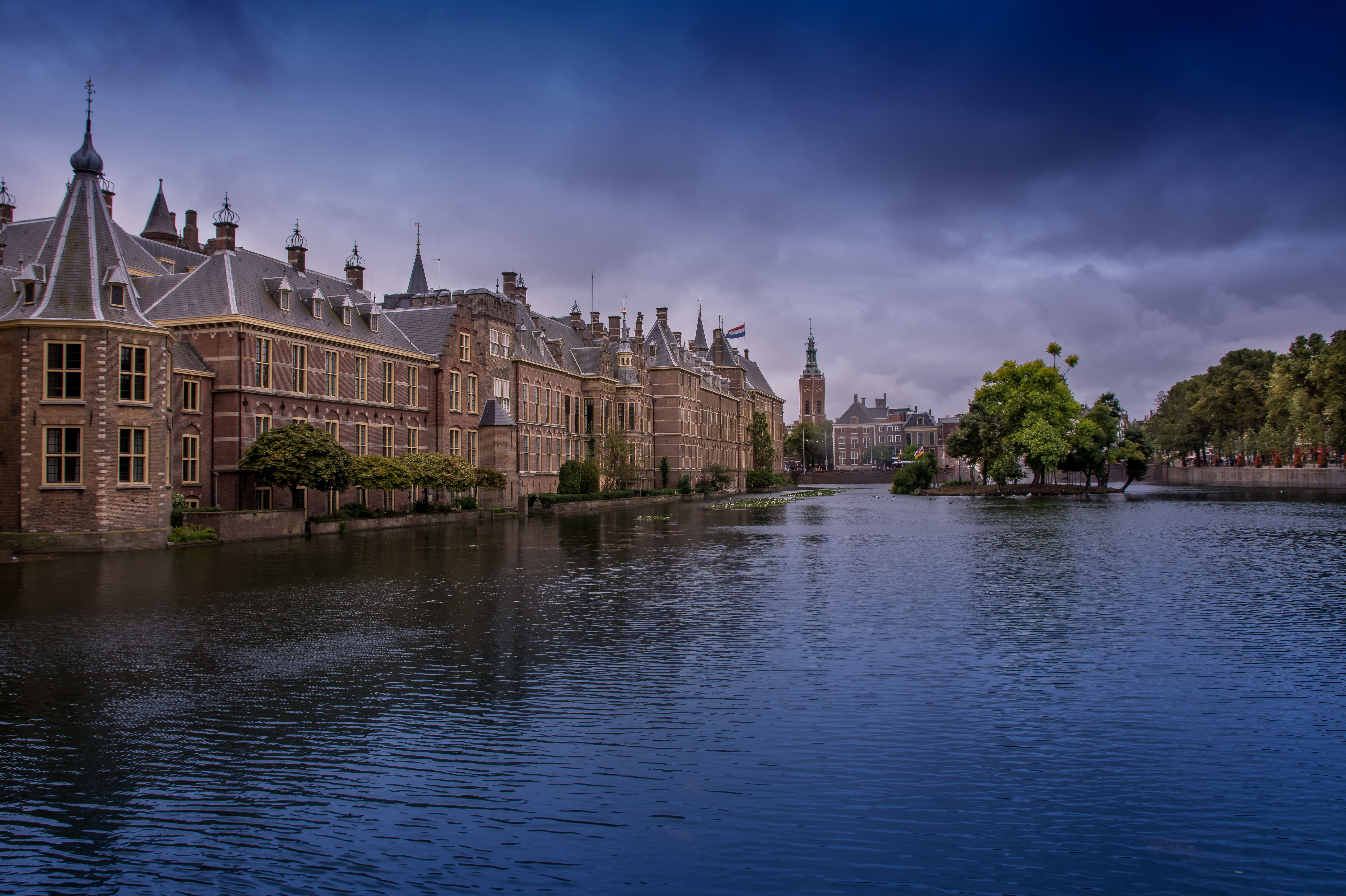 The Hague